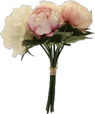  Bouquet Of Pink Peonies Transparent Png Peony Bouquet Png Peonies Png