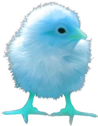  Chick Coloures Transparent Baby Chick Png Chick Png