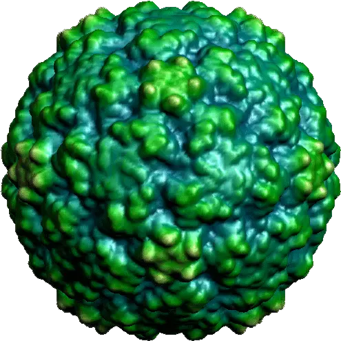  Virus Transparent Measles Picture Gif No Background Virus Png Virus Transparent