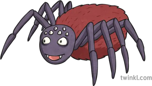  Cartoon Spider Illustration Tarantula Png Cartoon Spider Png