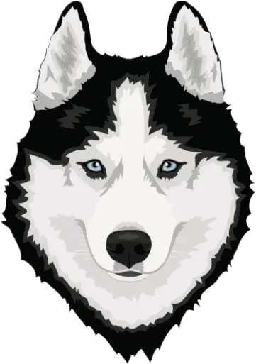  Can You Run With A Husky Training Gear Tips U2013 Owner Merry Christmas Husky Png Husky Transparent