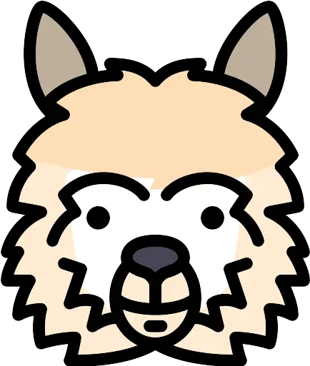  Llama Png Icon Lama Icon Llama Png