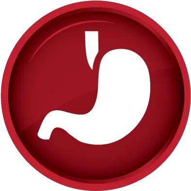  Gastric Stomach Health Gastric Png Stomach Png