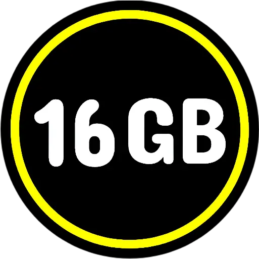  16gb Memory Card File Storage Manager Circle Png Gb Logo