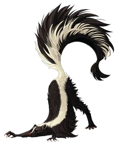  Skunk Png Images Skunk Png Skunk Transparent