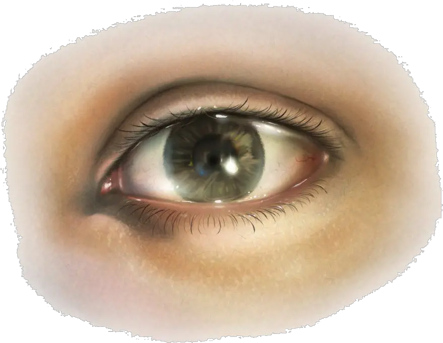  Eyes Png Images Free Download Human Eye Transparent Png Creepy Eye Png