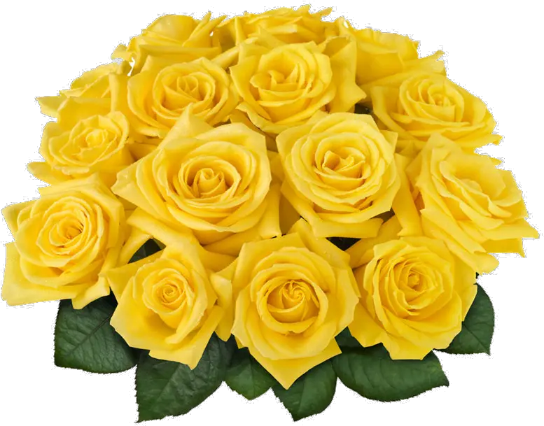  Ramo De Rosas Png Solo Tu Puedes Sorprender Con Este 12 Yellow Roses Most Beautiful Flower Bouquet Rosas Png