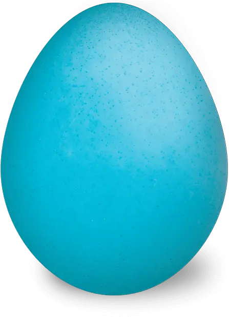  Paas Easter Eggs Dye And Egg Decorating Kits Sphere Png Egg Transparent