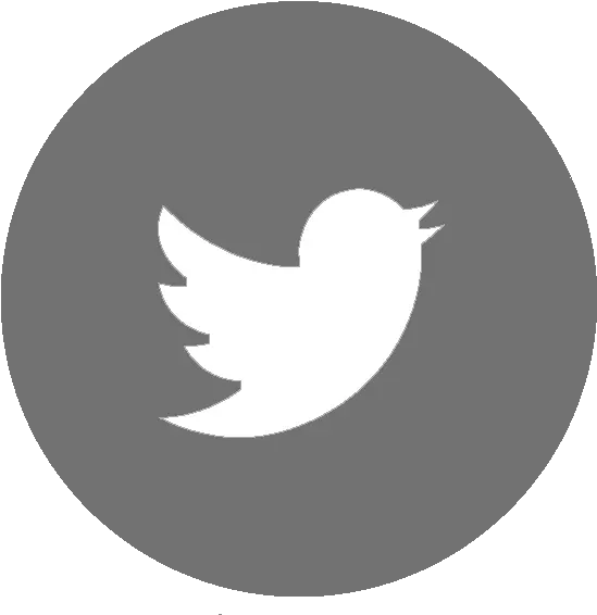  Twitter Blue Twitter Icon Png Full Size Png Download Twitter Flat Icon Size For Twitter Icon