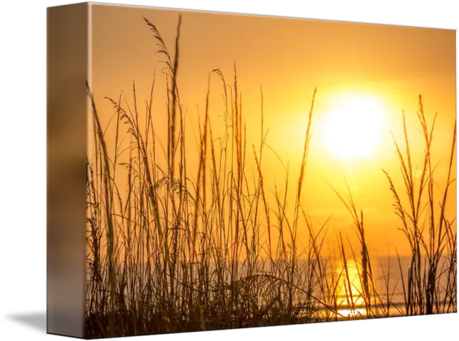  Sunrise Behind Wild Oats Atlantic Ocean Background By James Bradley Red Sky At Morning Png Sunrise Transparent Background