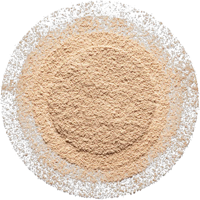  Blur Set Matte Loose Setting Powder Png Transparent