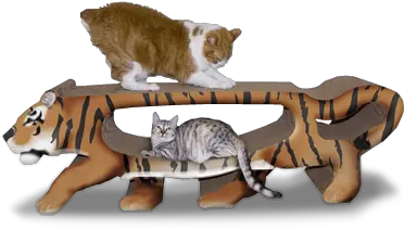  Chance To Win A Tiger Cardboard Cat Scratching Board Giant Tiger Cat Scratcher Png Tiger Scratch Png