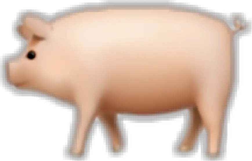  Pigemoji Pig Emojianimals Ive Sticker Pig Emoji Png Pig Emoji Png