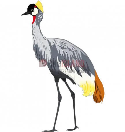  Crane Stork Bird Png Image With Transparent Background Crowned Crane Bird Png Bird Transparent Background