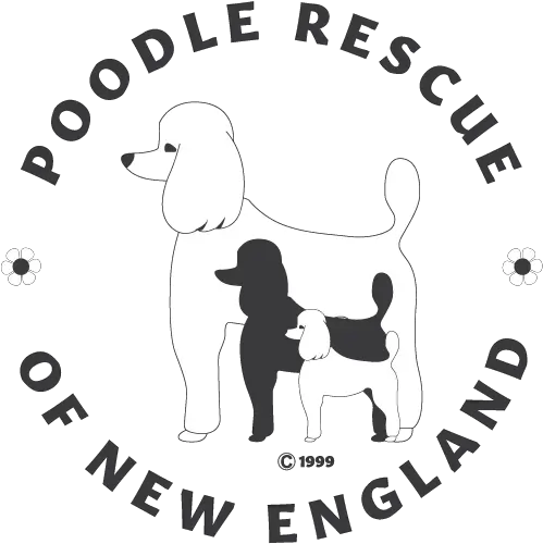  Poodle Rescue Of New England U2013 Our Goal Is To Place The Png Icon