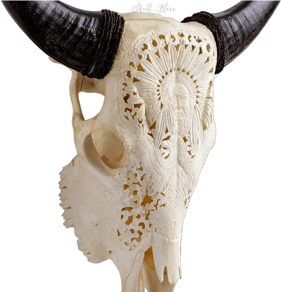  Download Carved Cow Skull Xl Horns Horn Full Size Png Skull Cow Skull Png