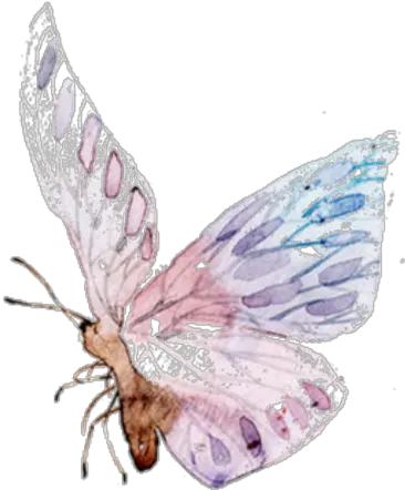  Butterfly Freetoedit Ftestickers Wings Transparent Watercolor Pastel Butterfly Png Watercolor Butterfly Png