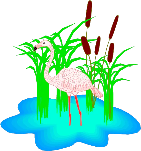  Free Flamingo Clipart Clip Art Png Flamingo Clipart Png