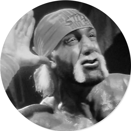  Download Hd Hulk Hogan Hulk Hogan Black And White Hulk Hogan Funny Memes Png Hulk Hogan Png