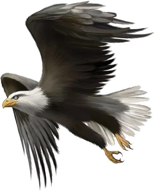  Bald Eagle Flying Png Don T Be A Parrot Be An Eagle Quotes Eagle Flying Png