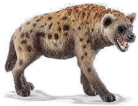  Hyena Png Hd Schleich Hyäne Hyena Png