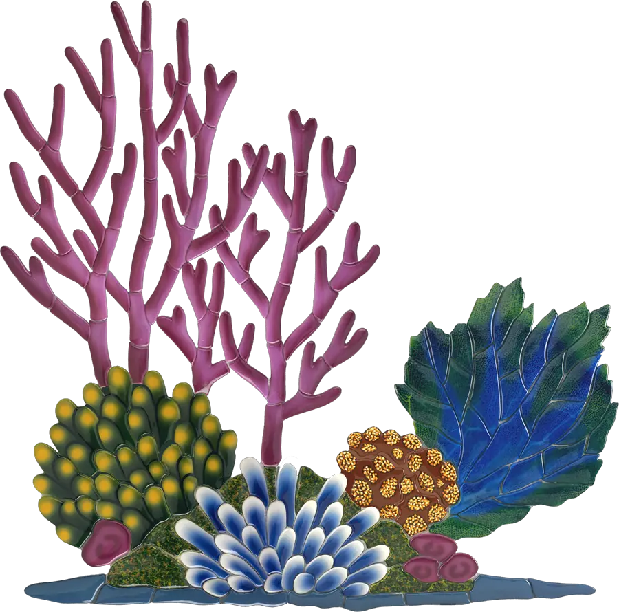  Coral Reef Clipart Hd Png Download Coral Reefs Clipart Coral Reef Png