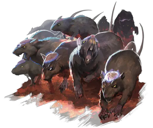  Cranium Rat Angry Rats Dnd Png Rats Png