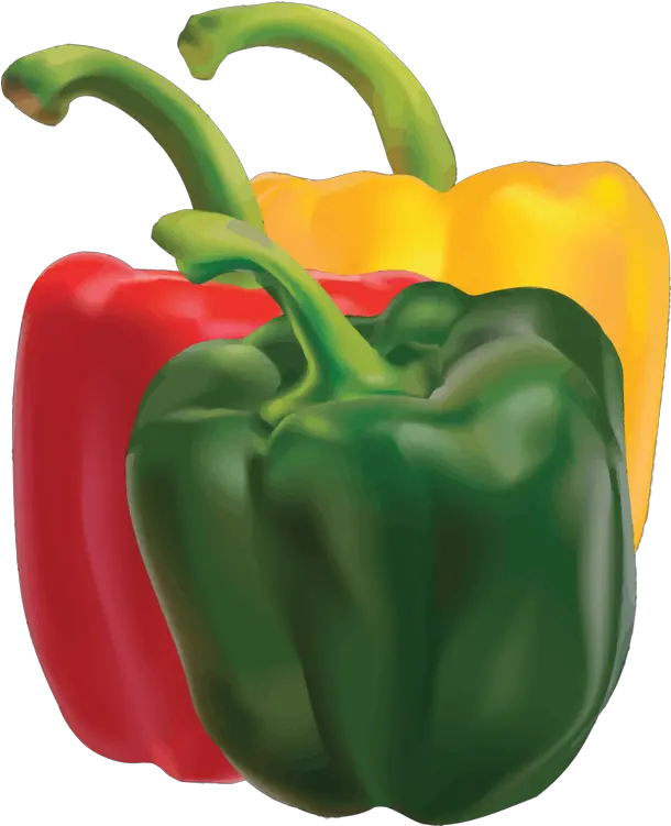  Library Of Jpg Royalty Free Bell Peppers Png Files Bell Pepper Vector Png Pepper Transparent