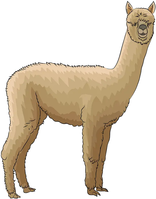  Alpaca Clipart Transparent Alpaca Clipart Png Alpaca Png