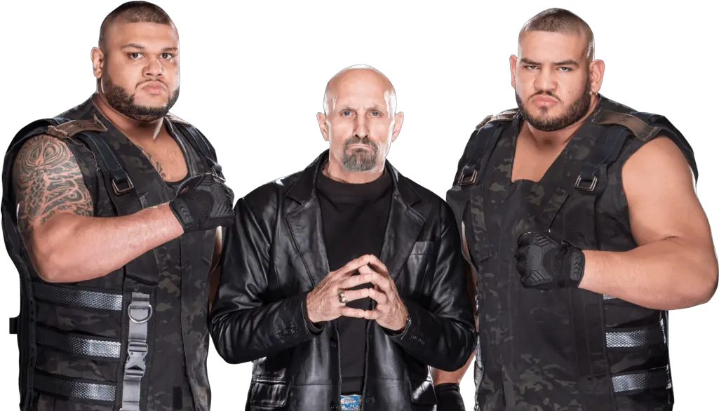  Authors Of Pain And Paul Ellering 2016 Authors Of Pain Png Jinder Mahal Png