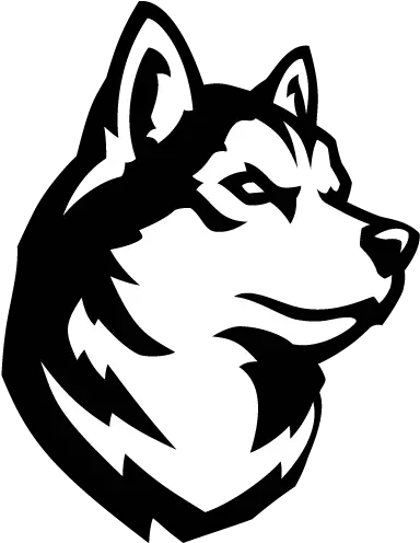  Northeastern Huskies News Scores Northeastern Husky Logo Png Husky Transparent