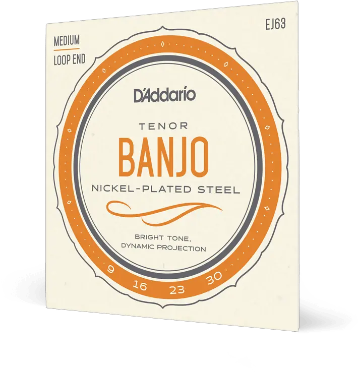  Ej63 5 String Banjo Strings Du0027addario Mandolin Png Banjo Png