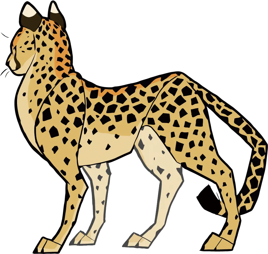  Cheetah Cat Cougar Clip Art Cheetah Png Dibujo Transparent Cheetah Cheetah Png