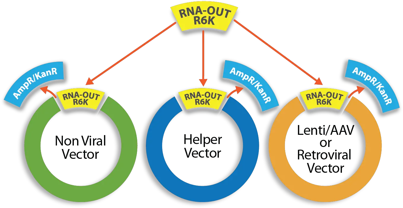  Vector Retrofit U2013 Nature Technology Language Png Rna Icon