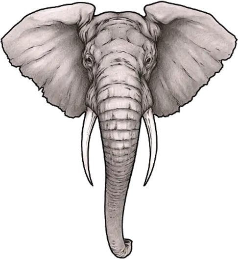  Sleeve Tattoo Elephant Artist Elephant Head Tattoo Design Png Elephant Head Png