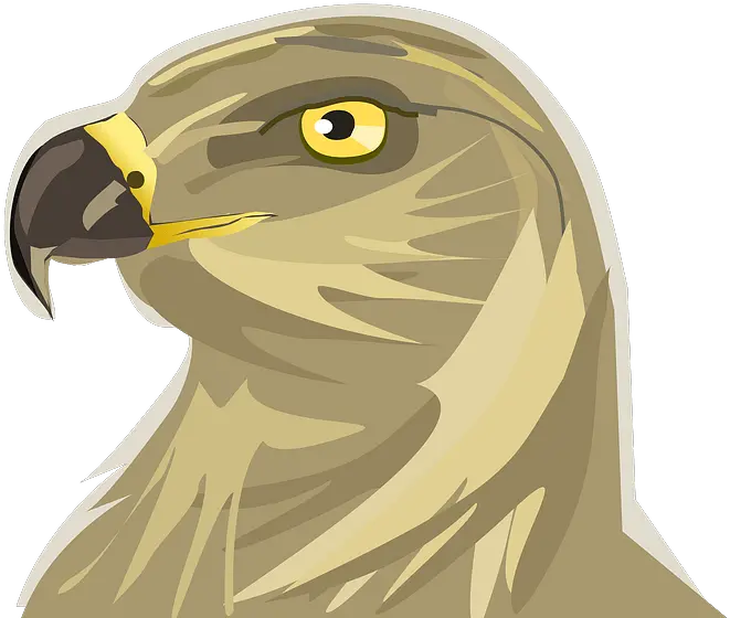  Hawk Head Clipart Portable Network Graphics Png Hawk Png