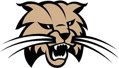  Bowling Green High School Fills Coaching Vacancies Eagle102 Ohio Bobcats Logo Png Bobcat Icon