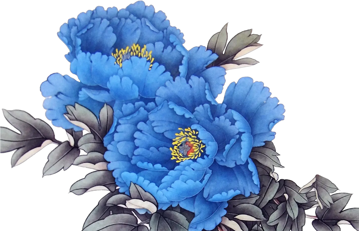  Download Peony 14171417 Transprent Png Free Blue Blue Peonies Clip Art Peonies Png