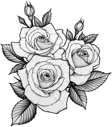  Rose Png Transparent Image Png 1239 Free Png Images Rose Drawing Tattoo Black Roses Png