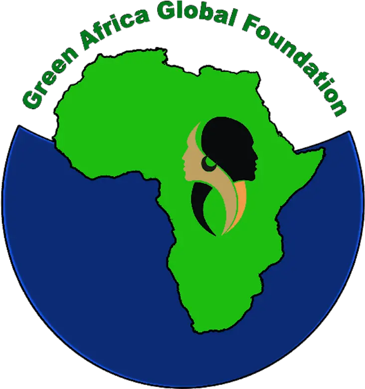  African Cushion Zebra Green Africa Global Foundation United States Africa Command Png Zebra Logo Png