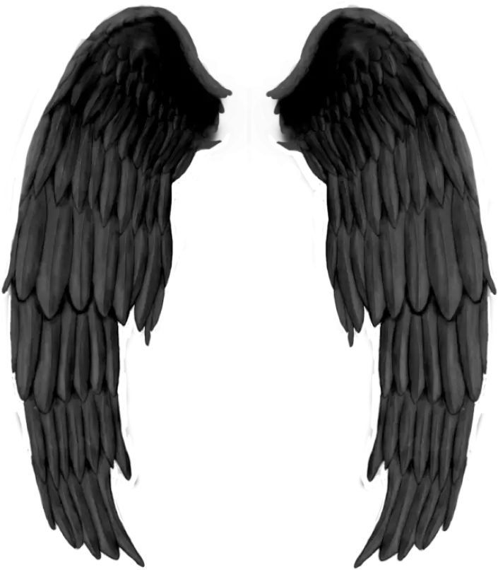  Black Wings Png Image Purepng Free Transparent Cc0 Png Realistic Black Angel Wings Wing Transparent