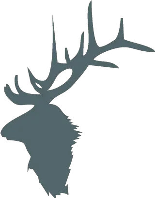  Main Elk Antlers Clipart Png Antlers Png