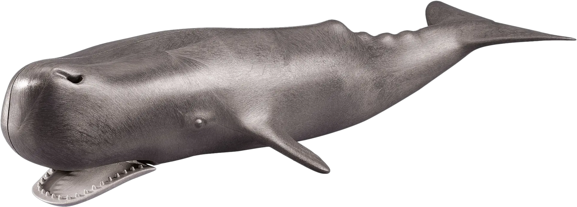  Whale Playmobil 7998 Png Whale Transparent